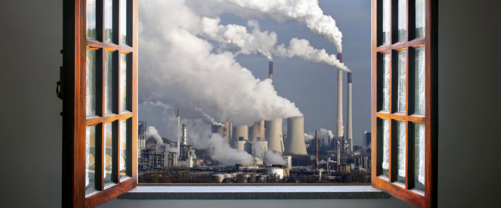 Picture of How to Improve Air Quality in Your Apartment